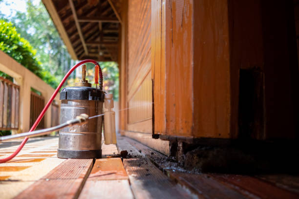 Best Exterminator Services  in Avon, PA